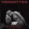 Forgotten (Alegra Remix) - Common Tribe lyrics