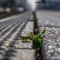 From the Vaults, Vol. 4 - Pako & Frederik, Audioglider & Ian Dillon