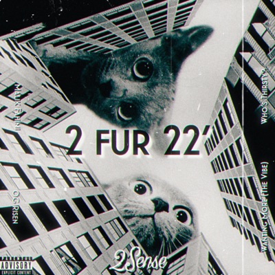 2 Fur 22' (feat. Malik Fahimi & OG Risen) - Single
