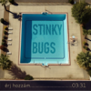 Érj hozzám (feat. Zabos Regina) - Stinky Bugs