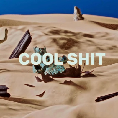 COOL SHIT (feat. BENNY HÀN) - Single