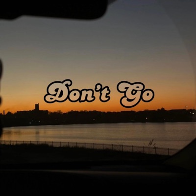 Don't Go (feat. cozychrs) - Single