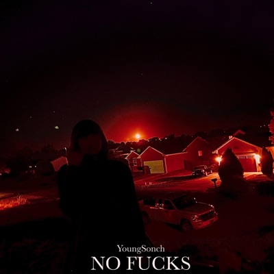 No Fucks - Single