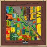 Englewood Growing - Single - Heavy Crownz