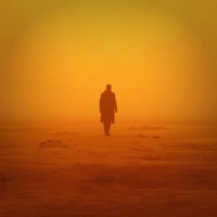 Endless loneliness - Single - DEVNZR & WHICHLANE