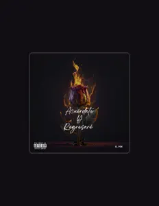 DNR THE DON dinle, müzik videolarını izle, biyografisini oku, tur tarihlerini ve daha fazlasını gör!