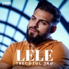 Trecutul tau - Single