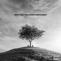 Why Do You Stay Around? - Single - Vilardz