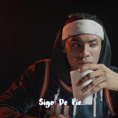 Sigo de Pie - Single