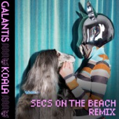 Koala (secs on the beach Remix) artwork
