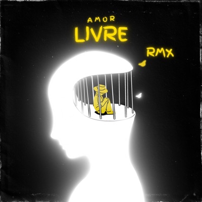 Amor Livre RMX - Single