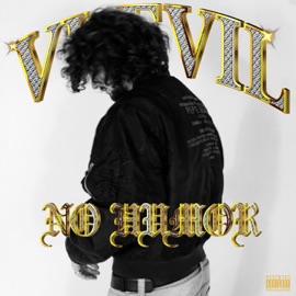 Сумма в сумке (feat. DIANA LUV) VUEVIL