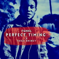 Perfect Timing - Single - TQNKL