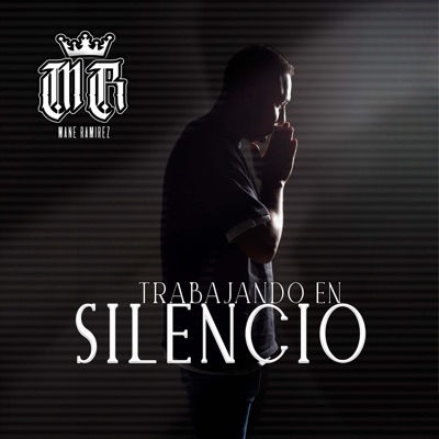 Trabajando En Silencio