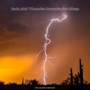 Rain and Thunder Sounds For Sleep