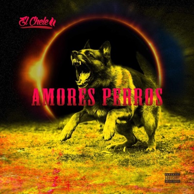 amores perros - Single