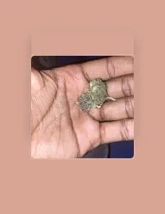 Ακούστε περιεχόμενο από Smackjay, παρακολουθήστε μουσικά βίντεο, διαβάστε το βιογραφικό, δείτε ημερομηνίες περιοδείας, και πολλά ακόμη!