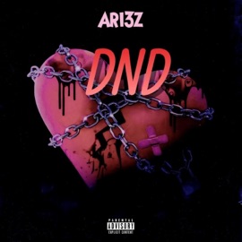 DND ARI3Z