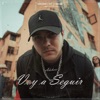 Voy a Seguir - Single