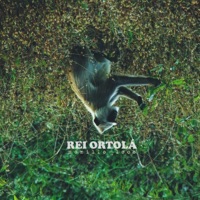 Monillo Loco - Single - Rei Ortolá