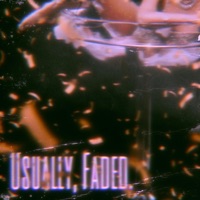 Usually, Faded. - Single - JM Vercetti