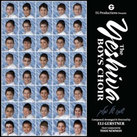 Sh'moy Shel Melech, Vol. 4 - The Yeshiva Boys Choir