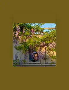 Dengarkan Lou Le Treut, tonton video musik, baca bio, lihat tanggal tur & lainnya!