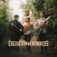 Desconocidos - Single - Alta Consigna