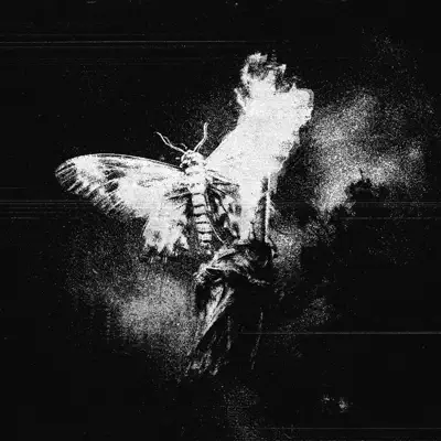 lefty adlı sanatçının Alone - Single albümünü dinle