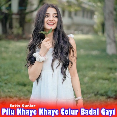 Pilu Khaye Khaye Colur Badal Gayi - Single