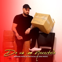 De va iau Nevestele - Single - Bogdan Pirvu, Portocala & Zeno Music