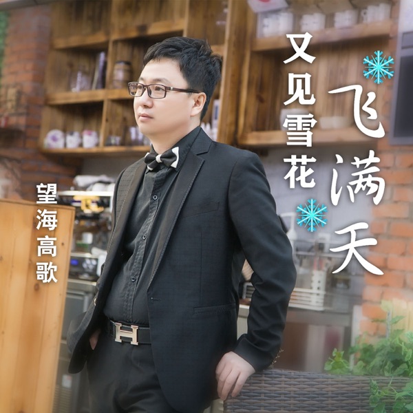 又见雪花飞满天 - Single