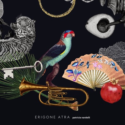 Erigone Atra - Single