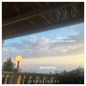 Splendor - Single