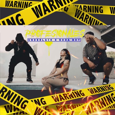 Profesionales (feat. Soda Boy) - Single