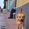 Perfecta - Single