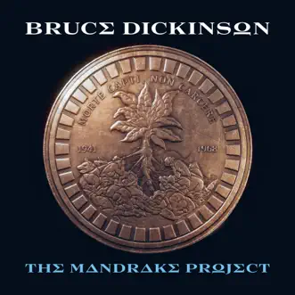 Rain on the Graves by Bruce Dickinson song reviws