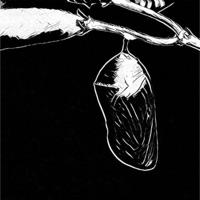 Too Late - Single - Zamir