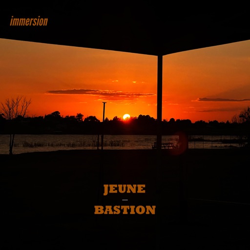 Art for Immersion (feat. Bastion) by Jeune