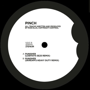 Punisher (Remixes) - Single