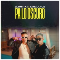 Pa Lo Oscuro (feat. Like La Voz) - Single - Eljoyita