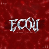 ECOU (feat. IDK) - Single - STRadu