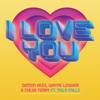 I Love You (Extended VIP Mix) [feat. Mila Falls] - Single