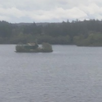 If It Still Matters - Single - Greenwood