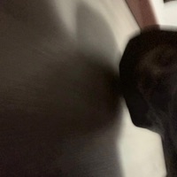 Stejne? - Single - PAldus