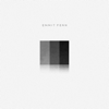 Emmit Fenn - Painting Greys artwork