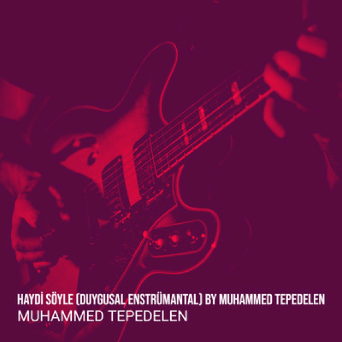 Haydi Söyle (Duygusal Enstrümantal) - Single - Album by Muhammed Tepedelen  - Apple Music