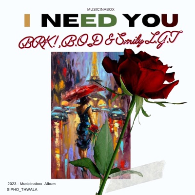 I Need You (feat. B.O.D, SmilyLGT & BRK) - Single