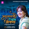 Chaturdasji Ke Dham Javana - Single