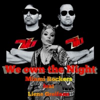 We own the Night (feat. Liene Greifane) - Single - Miami Rockers